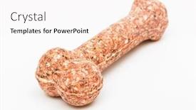  Presentation with artificial bone - Amazing presentation design having artificial-a-bone backdrop and a sky blue colored foreground