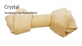  Presentation with artificial bone - Slides with artificial a bone background and a white colored foreground