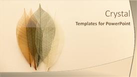  Presentation with leaves flat lay - PPT theme with artificial-autumn-leaves-closeup-flat background and a cream colored foreground