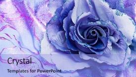  Presentation with blue flow - Theme featuring artificial blue flower for decoration background and a light blue colored foreground