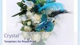  Presentation with wedding roses - Presentation consisting of artificial-flowers-eternal-roses-wedding background and a sky blue colored foreground