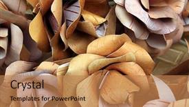  Presentation with birch bark - Amazing PPT theme having skilful - artificial flowerses from birch bark backdrop and a coral colored foreground