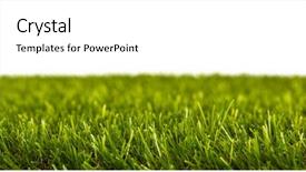  Presentation with green grass artificial top - Beautiful slide deck featuring royal baked stuffed mushrooms champignons with cheese in the pan backdrop and a gold colored foreground