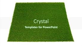  Presentation with carpet - Slide set having artificial-grass-carpet-on-white background and a tawny brown colored foreground