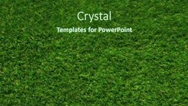  Presentation with green grass artificial top - Presentation theme consisting of artificial-green-grass-field-top background and a forest green colored foreground