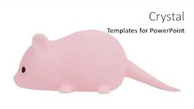  Presentation with pink white - Slide deck having artificial-mouse-pink-pet-toy background and a  colored foreground