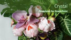  Presentation with orchids - Audience pleasing slides consisting of artificial-orchids-in-the-home backdrop and a tawny brown colored foreground