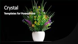  Presentation with flowers - PPT layouts featuring artificial potted flowers on black background and a black colored foreground