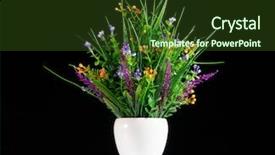  Presentation with flowers - Slide set featuring artificial potted flowers on black background and a tawny brown colored foreground