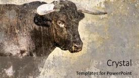  Presentation with artistic - Beautiful slides featuring african patterns - artistic image with background texture backdrop and a mint green colored foreground