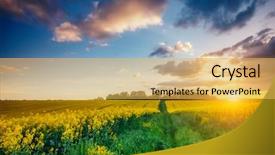  Presentation with green beauty - Theme featuring artistic picture beauty world soft background and a yellow colored foreground