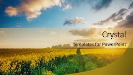  Presentation with green beauty - Beautiful presentation theme featuring artistic picture beauty world soft backdrop and a yellow colored foreground