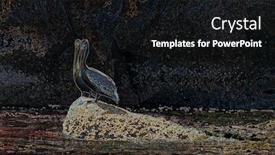  Presentation with artistic - Theme featuring artistic-view-of-two-california background and a black colored foreground