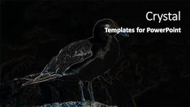  Presentation with seagull - Colorful PPT theme enhanced with artists-perspective-of-a-painted backdrop and a black colored foreground