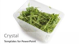 Presentation with plastic bag - Amazing theme having arugula-in-plastic-bag-isolated backdrop and a white colored foreground