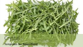  Presentation with healthy diet organic food - Colorful presentation enhanced with arugula-organic-rocket-salad-green backdrop and a yellow colored foreground