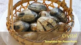  Presentation with clam - Cool new slides with asari-clams-it-s backdrop and a tawny brown colored foreground