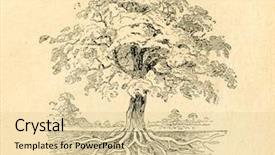  Presentation with authors - Audience pleasing PPT theme consisting of ascendant - deciduous tree- old illustration backdrop and a lemonade colored foreground