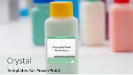  Presentation with microalgae - PPT layouts with ascophyllum-nodosum-microalgae-a-brown background and a  colored foreground