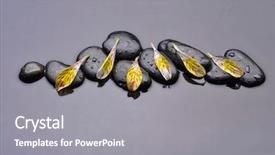  Presentation with zen stone - Presentation theme having asett - black zen stone and sett background and a gray colored foreground