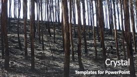  Presentation with catastrophe - Amazing presentation design having ash burning forest fireman work backdrop and a  colored foreground
