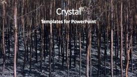  Presentation with nature - Amazing presentation theme having ash burning forest fireman work backdrop and a dark gray colored foreground