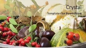  Presentation with fall leaves border autumn - Audience pleasing PPT layouts consisting of image of an argiope aurantia backdrop and a teal colored foreground