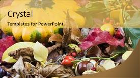  Presentation with life - Colorful slide deck enhanced with ash gourd - autumn still life shot outside backdrop and a yellow colored foreground