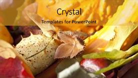  Presentation with life - Audience pleasing slide deck consisting of ash gourd - autumn still life shot outside backdrop and a gold colored foreground