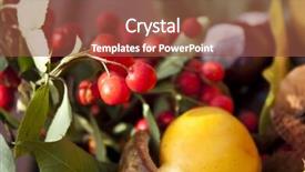  Presentation with detox green smoothies still life - PPT theme featuring ash gourd - autumn still life shot outside background and a tawny brown colored foreground