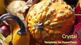  Presentation with life - Slide deck enhanced with ash gourd - autumn still life shot outside background and a tawny brown colored foreground