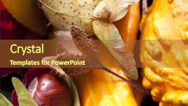  Presentation with life - Slide set consisting of ash gourd - autumn still life shot outside background and a tawny brown colored foreground