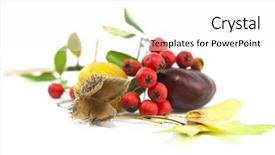  Presentation with life - Slides having ash gourd - autumn still life studio shot background and a white colored foreground