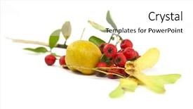  Presentation with still life crucifixion table - Audience pleasing theme consisting of ash gourd - autumn still life studio shot backdrop and a white colored foreground