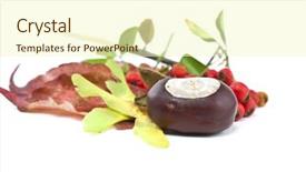  Presentation with ash gourd - PPT layouts featuring ash gourd - autumn still life studio shot background and a cream colored foreground