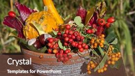  Presentation with autumn leaves - Slide deck with ash gourd - autumn tub full of leaves background and a tawny brown colored foreground