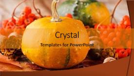  Presentation with ash gourd - Cool new presentation theme with ash gourd - harvested pumpkins with fall leaves backdrop and a gold colored foreground