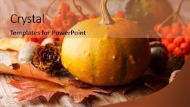  Presentation with ash gourd - Colorful slides enhanced with ash gourd - harvested pumpkins with fall leaves backdrop and a coral colored foreground
