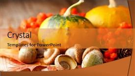  Presentation with ash gourd - Slides with ash gourd - harvested pumpkins with fall leaves background and a gold colored foreground