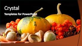  Presentation with ash gourd - Slide deck featuring ash gourd - harvested pumpkins with fall leaves background and a  colored foreground