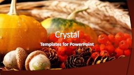  Presentation with ash gourd - Colorful presentation theme enhanced with ash gourd - harvested pumpkins with fall leaves backdrop and a crimson colored foreground
