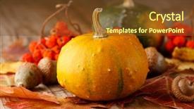  Presentation with ash gourd - Audience pleasing presentation consisting of ash gourd - harvested pumpkins with fall leaves backdrop and a tawny brown colored foreground