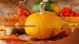  Presentation with ash gourd - Beautiful theme featuring ash gourd - harvested pumpkins with fall leaves backdrop and a gold colored foreground