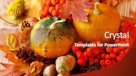  Presentation with ash gourd - Cool new PPT layouts with ash gourd - harvested pumpkins with fall leaves backdrop and a crimson colored foreground