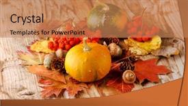  Presentation with ash gourd - Cool new PPT theme with ash gourd - harvested pumpkins with fall leaves backdrop and a coral colored foreground
