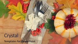  Presentation with ash gourd - Cool new theme with ash gourd - orange pumpkins on wooden table backdrop and a coral colored foreground