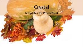  Presentation with ash gourd - Presentation theme having ash gourd - pumpkin in colorful autumn leaves background and a  colored foreground