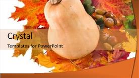  Presentation with ash gourd - Cool new presentation with ash gourd - pumpkin in colorful autumn leaves backdrop and a  colored foreground