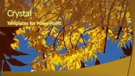  Presentation with fall leaves - Audience pleasing slides consisting of ash-tree-twigs-with-fall backdrop and a tawny brown colored foreground