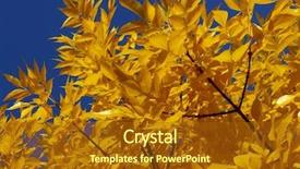  Presentation with fall leaves - Amazing presentation theme having ash-tree twigs with fall golden leaves backdrop and a tawny brown colored foreground